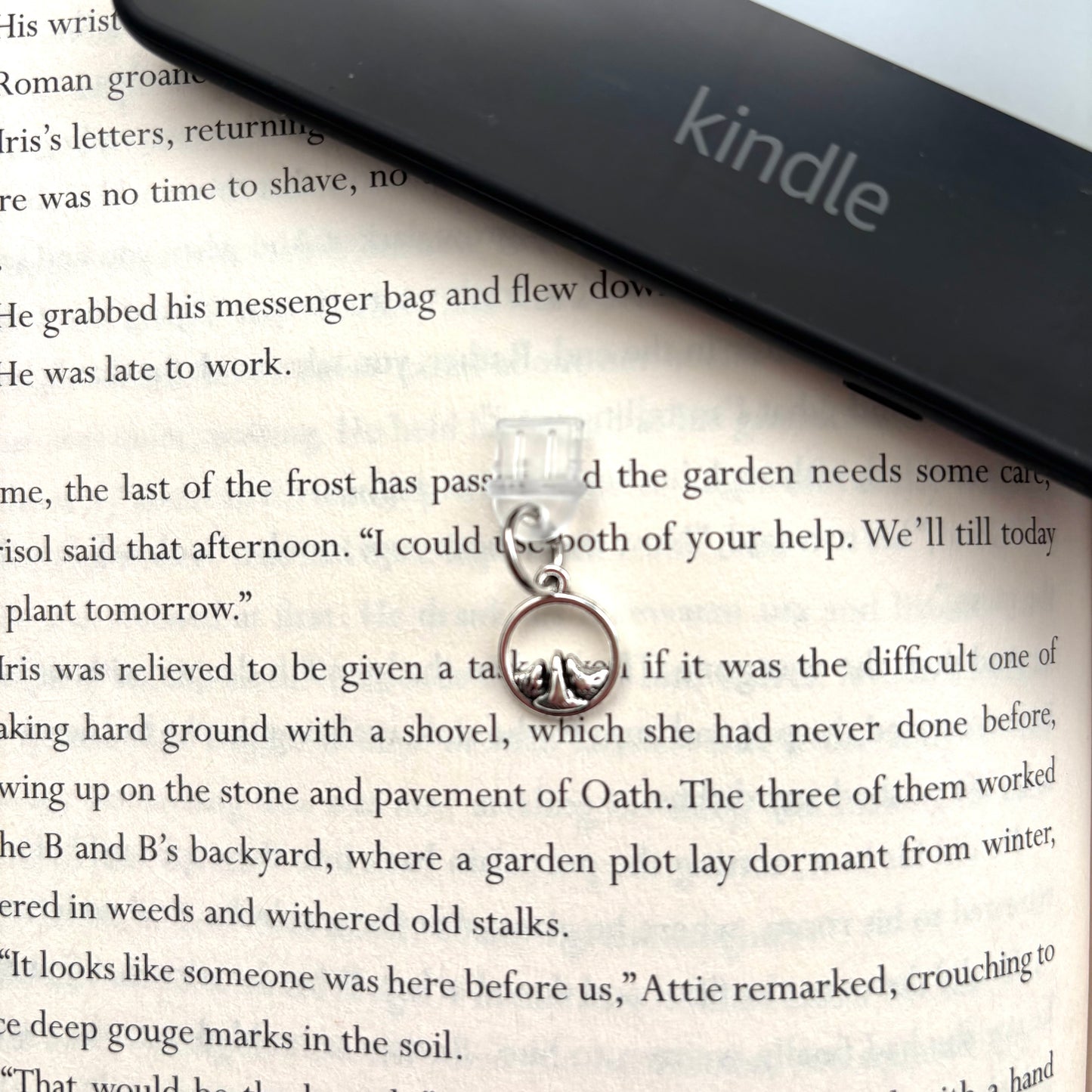 E-reader dust plug Bergen