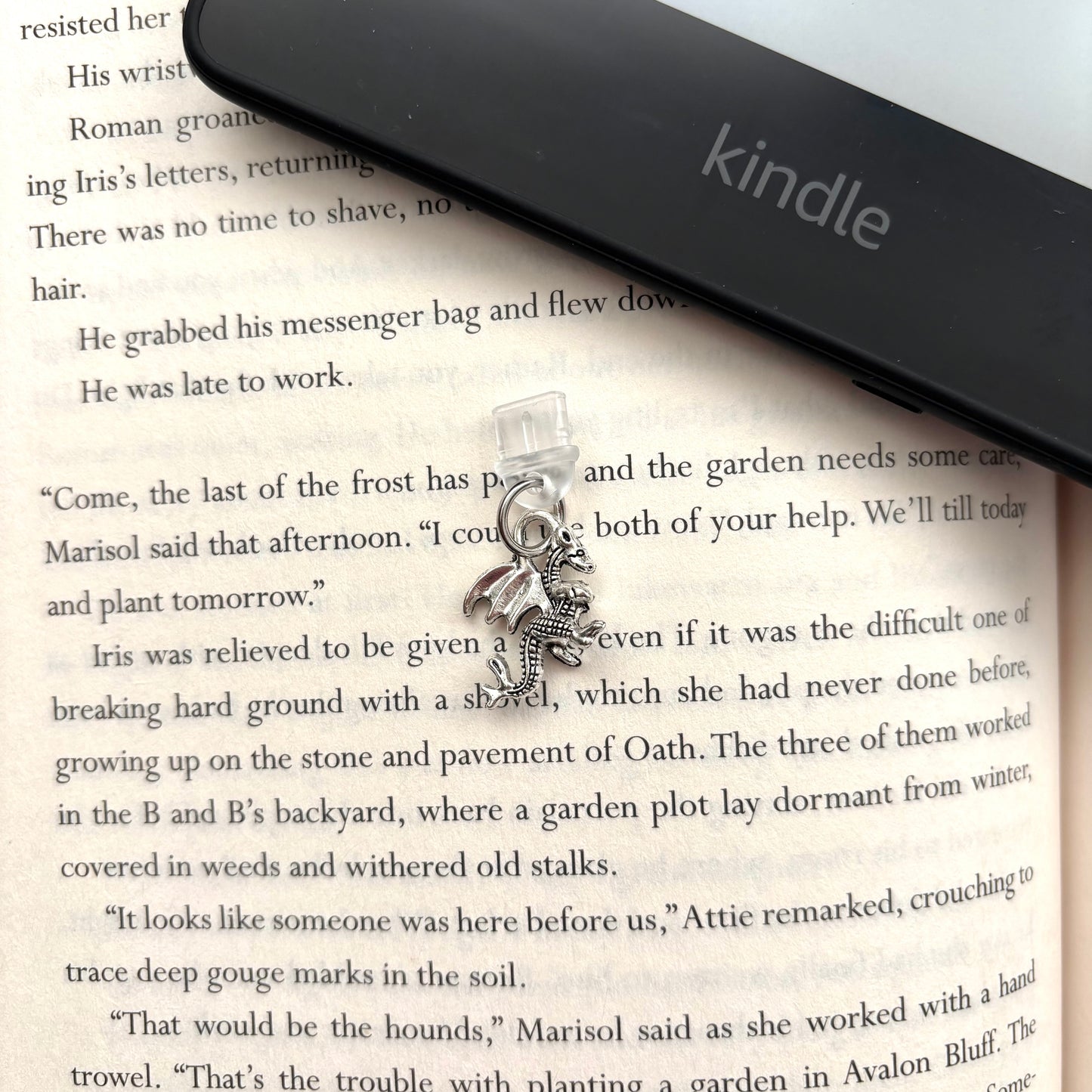 E-reader dust plug Draak