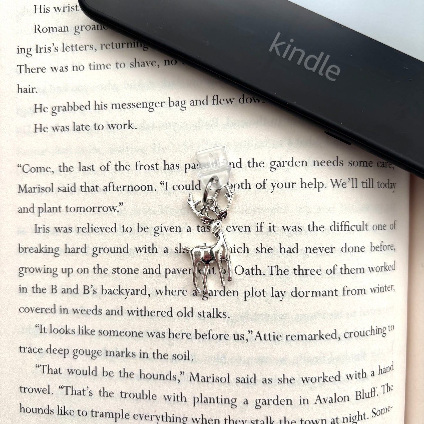 E-reader dust plug Hert