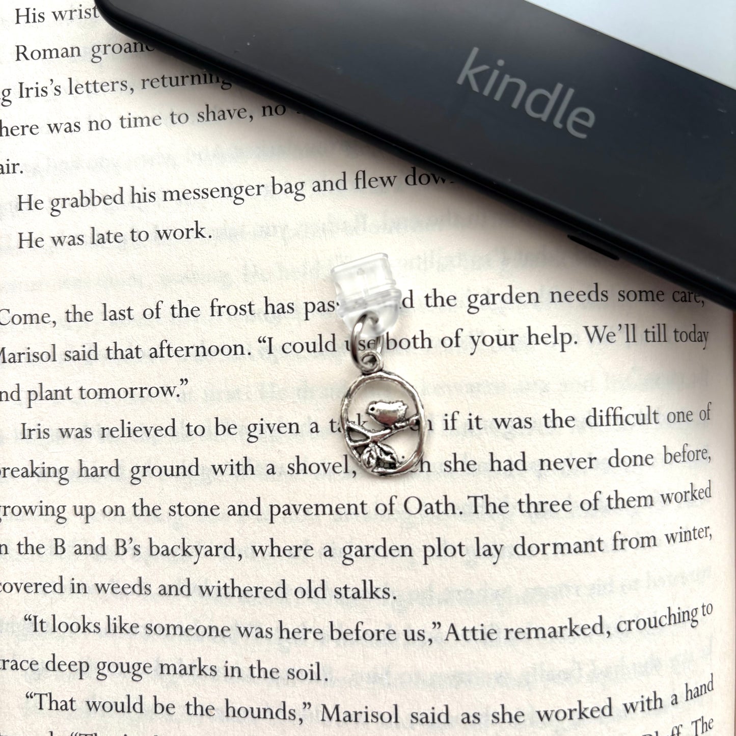 E-reader dust plug Vogel