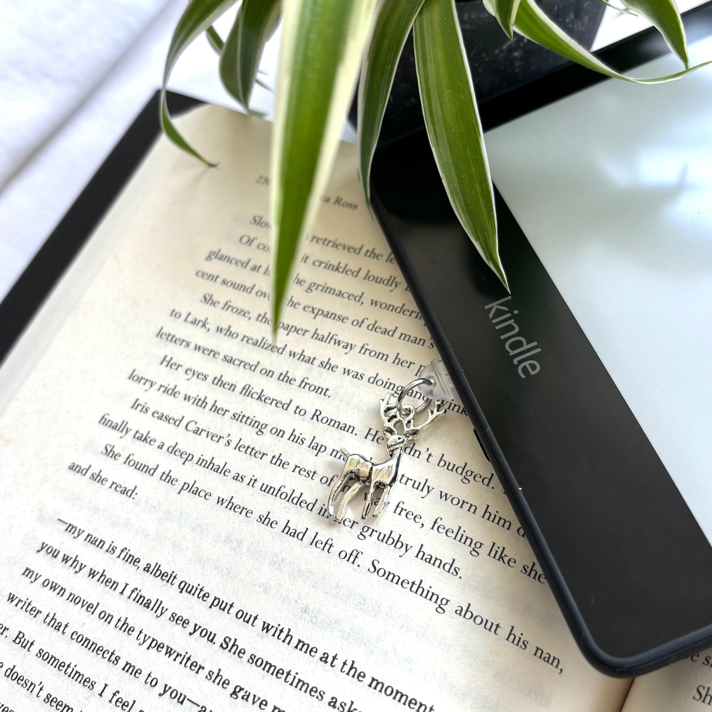 E-reader dust plug Hert