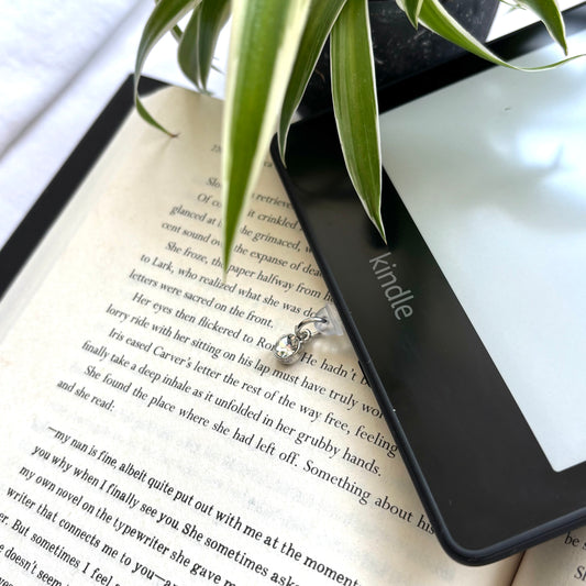 E-reader dust plug zilveren steen