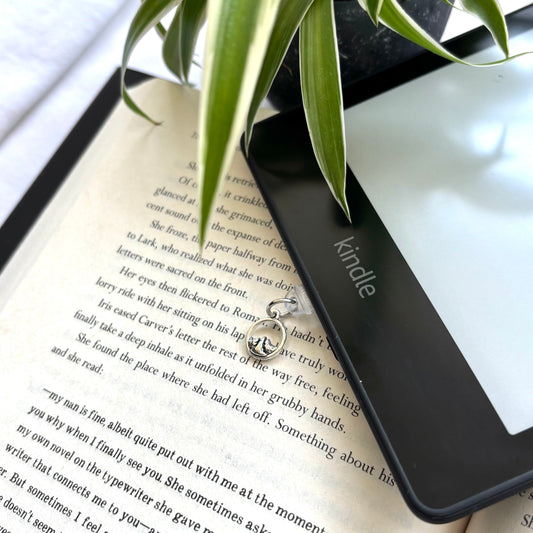 E-reader dust plug Bergen