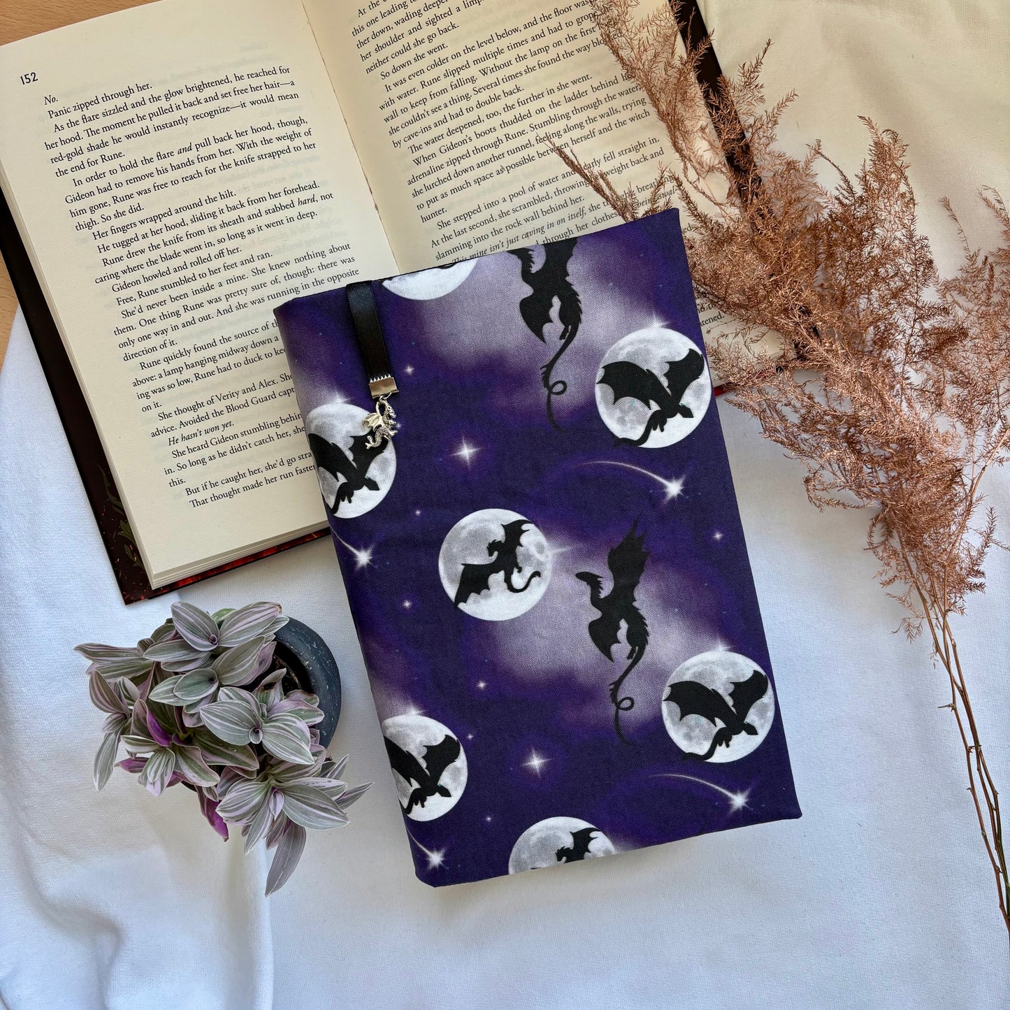 Book cover Dragon Fire