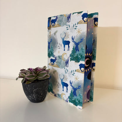 Boekomslag Winter Fantasy